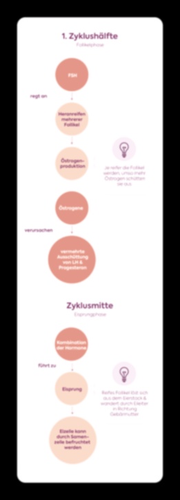 Clomifen Rezeptfrei ohne Rezept Generika
